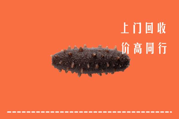高价求购：凉山州西昌市回收海参