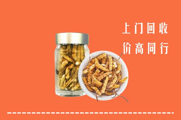 凉山州西昌市回收冬虫夏草